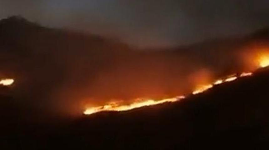 Şemdinli'de orman yangını! Yangında son durum