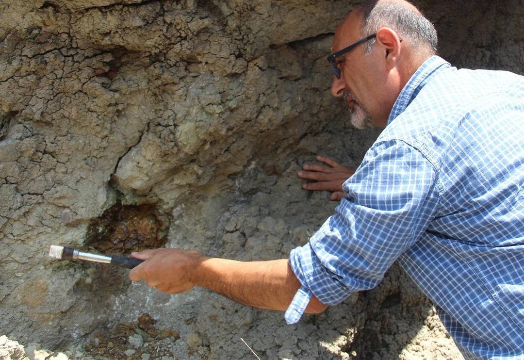 160 milyon yıl sonra yerinden &ccedil;ıkarıldı! İlk g&uuml;nk&uuml; halinde