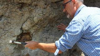 160 milyon yıl sonra yerinden çıkarıldı! İlk günkü halinde