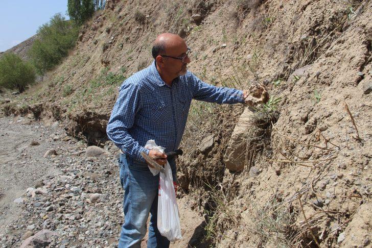 160 milyon yıl sonra yerinden çıkarıldı! İlk günkü halinde G2