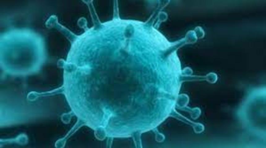 'Rota virüs' bebekleri tehdit ediyor 