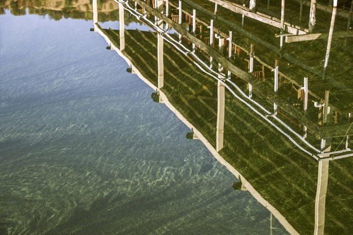 ODTÜ, Eymir Gölü'ndeki aşırı siyanobakteri artışını anbean takip ediyor G2