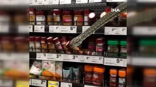 Avustralya’da süpermarket rafından çıkan piton büyük korku yaşattı