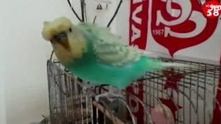 Sivas'ta spor programını izleyenler şaştı kaldı! Canlı yayın açılışını muhabbet kuşu yaptı