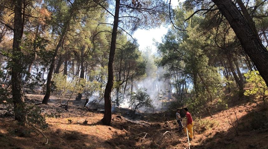 Uşak'ta ormanlık alanda yangın çıktı