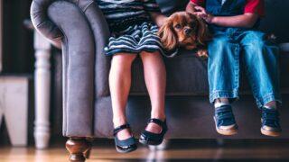 Çocuklar bu ayakkabıları ayağından çıkartmak istemeyecek