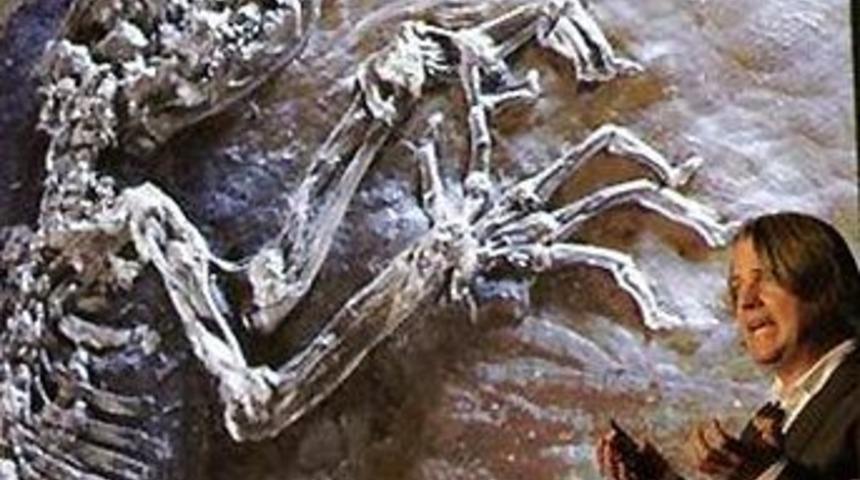 İnsanlığın sırrı bu fosilde