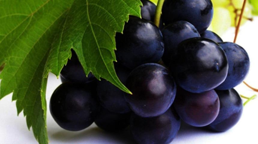 Kokulu siyah üzüm kanseri önlüyor mü?