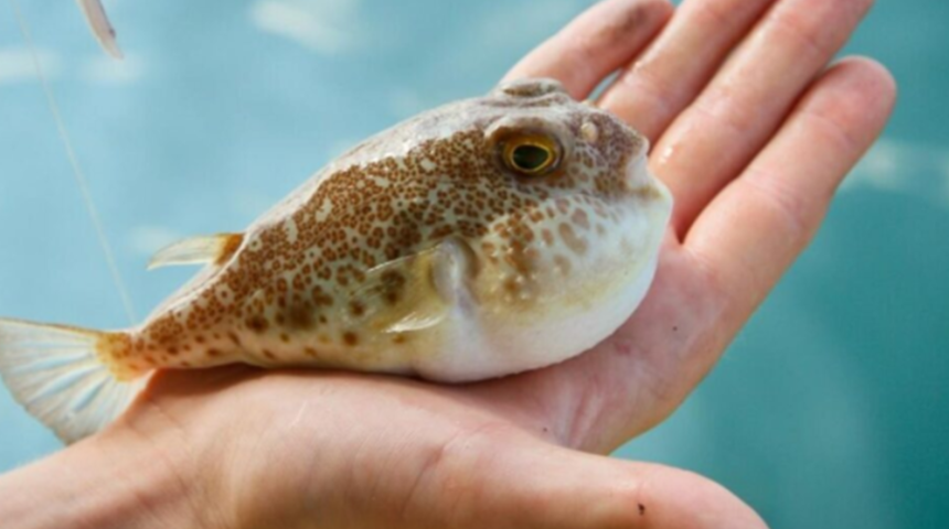 Tarihin en ilginç ölüm nedeni! Toksinlerden kurtulabileceğini düşündü