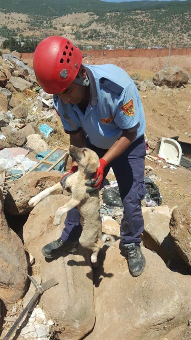 Taşların altına sıkışan 5 yavru köpeği itfaiye ekipleri kurtardı