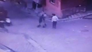 İstanbul’da ilginç hırsızlık! Martı çaldılar, Yunuslara yakalandılar