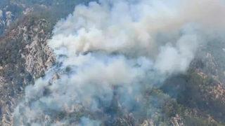 Son Dakika: Muğla Köyceğiz'de orman yangını