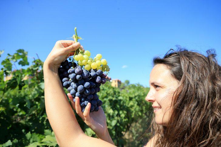 İstanbullu rehberlere "Mimar Sinan" ve "Trakya Bağ" rotaları tanıtılıyor G1