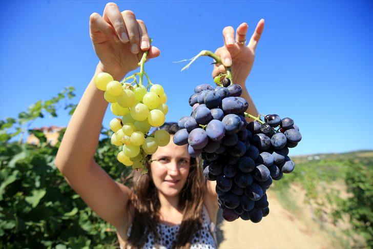 İstanbullu rehberlere "Mimar Sinan" ve "Trakya Bağ" rotaları tanıtılıyor G2