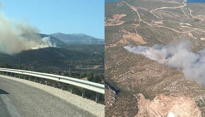 Muğla ve İzmir'de orman yangını