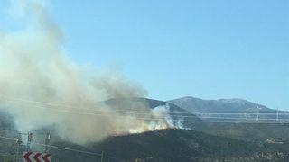 Son dakika | İzmir'in Ödemiş ilçesinde orman yangını! Çok sayıda ekip bölgede