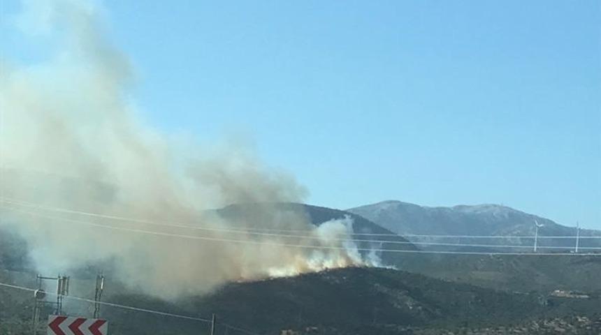 Son dakika | İzmir'in Ödemiş ilçesinde orman yangını! Çok sayıda ekip bölgede
