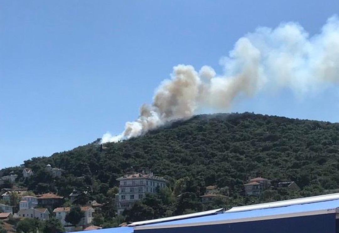 Son Dakika: Heybeliada'da orman yangını