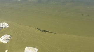 Doğal güzelliğiyle dikkat çeken Burdur Gölü'nde korkutan görüntü! Ördekler bile terk etti