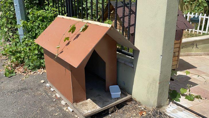 Tekirdağ'da köpeğin barınağa gönderilmek istenmesine tepki gösteren kişinin videosu sosyal medyada ilgi çekti G4