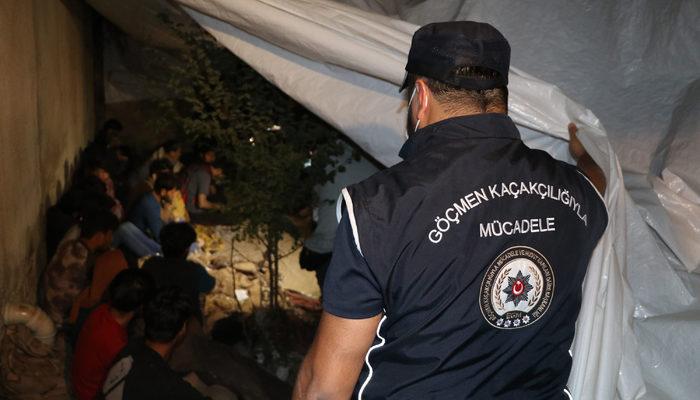 Van'da 'şok ev' operasyonu: 25 kaçak göçmen ve 1 organizatör yakalandı