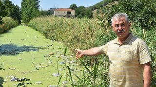 Nehrin yüzeyini görenler gözlerine inanamadı