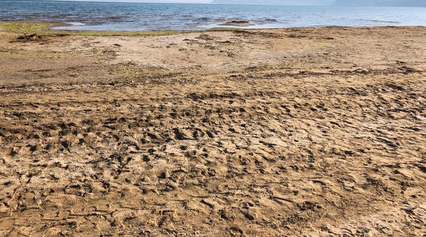 Eğirdir Gölü'nde alarm durumu: Çekilme 50 metreyi aştı! İşte nedeni
