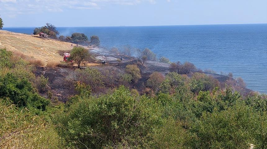 Tekirdağ'da otluk alanda çıkan yangın evlere sıçramadan söndürüldü