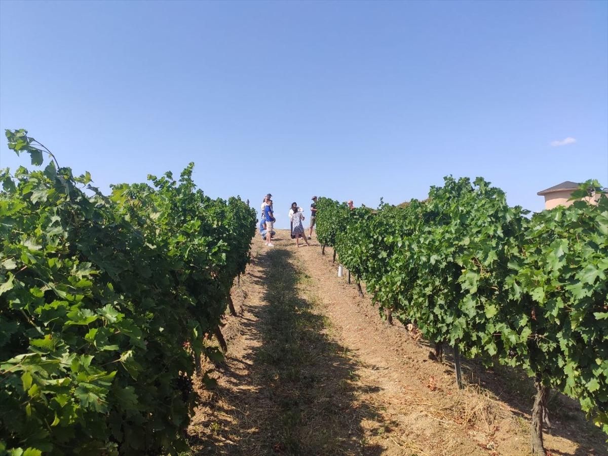 İstanbullu rehberler Tekirdağ'da Rakoczi M&uuml;zesi ve &uuml;z&uuml;m bağlarını gezdi