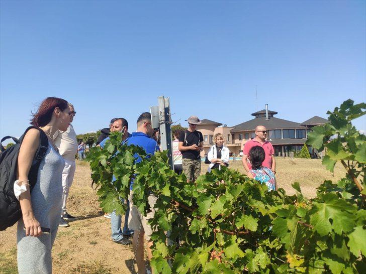 İstanbullu rehberler Tekirdağ'da Rakoczi Müzesi ve üzüm bağlarını gezdi G2