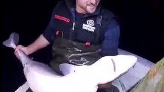 Trabzonlu balıkçının köpekbalığı ile diyaloğu sosyal medyayı salladı