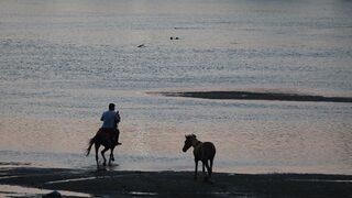 Suyu azalan Meriç Nehri'ndeki kum adacıklarında yürüyüş yapılıyor