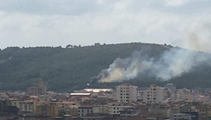 İstanbul Maltepe'de orman yangını!