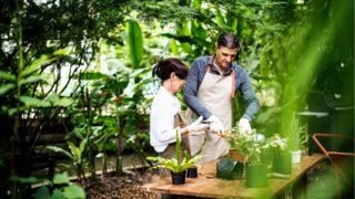 Göz alıcı bahçeler ve balkonlar için ihtiyaç duyduğunuz ürünler
