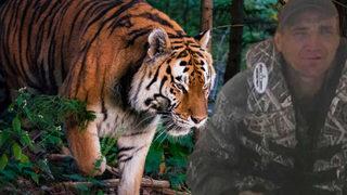 Rusya'da korkunç olay! Kaplan saldırısına uğradı, organları yol kenarında bulundu