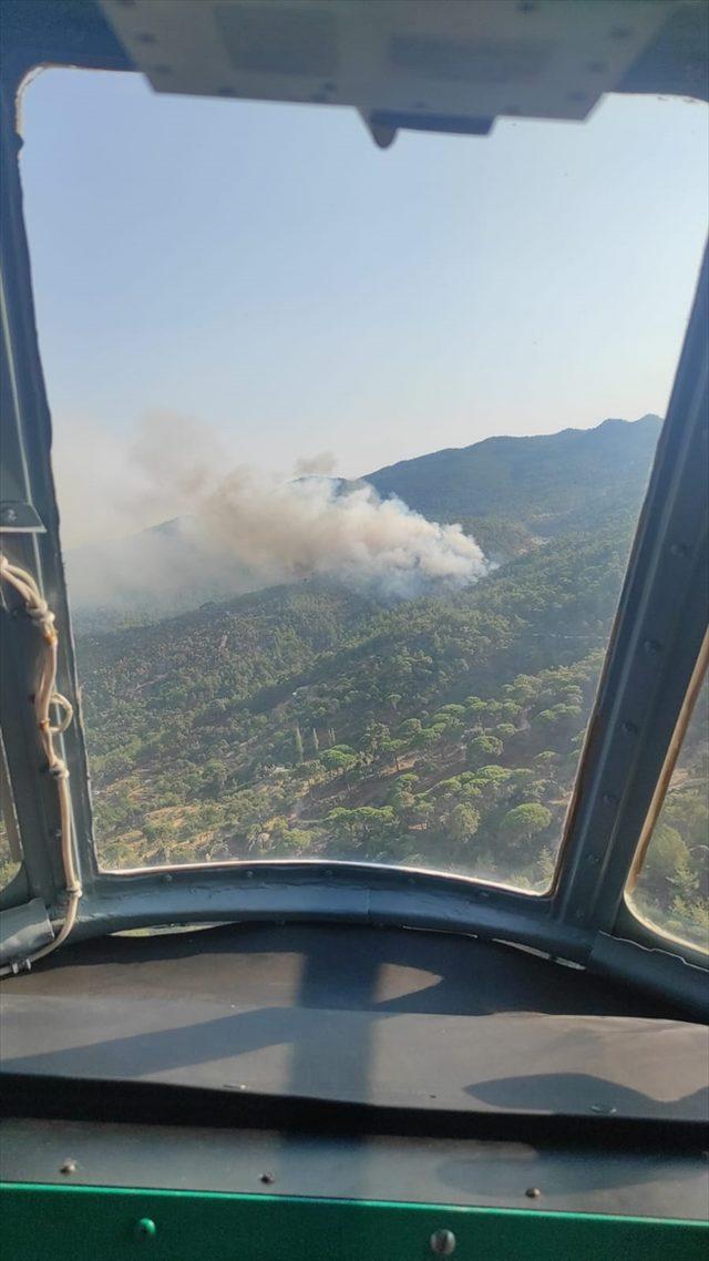 Aydın'da ormanlık alanda yangın çıktı