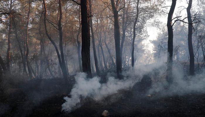 Muğla Seydikemer'deki orman yangını kontrol altına alındı