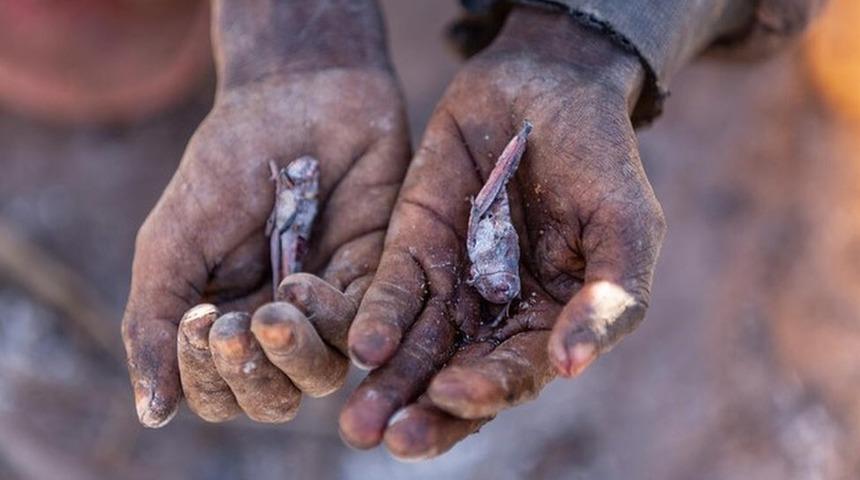 İklim krizi: BM'ye g&ouml;re Madagaskar d&uuml;nyada iklim değişikliği sonucu a&ccedil;lık g&ouml;r&uuml;len ilk &uuml;lke olmak &uuml;zere