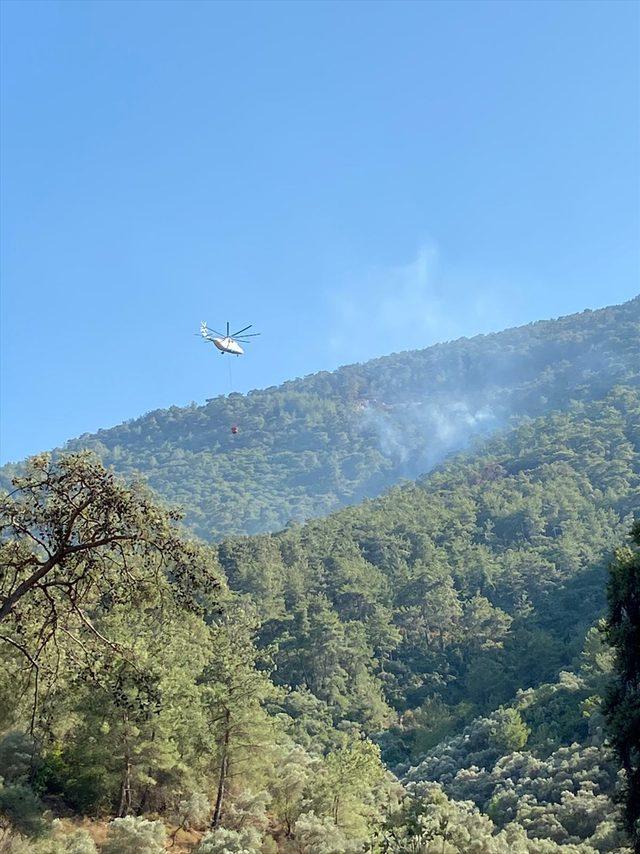 Milas'ta orman yangınına müdahale ediliyor