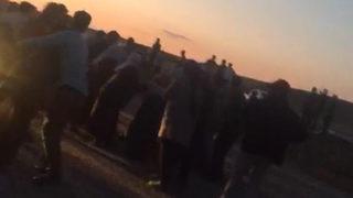 Kız çocuğunun kahreden ölümü! Hayvanları yolun karşısına geçirmek istemişti