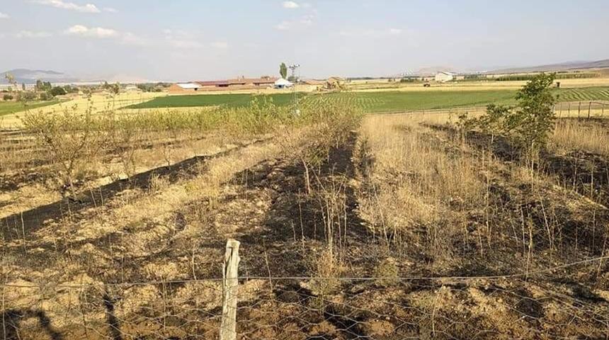 10 yıldır büyütmeye çalıştığı ağaçları yangında küle döndü