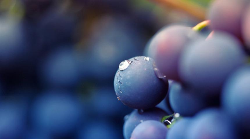 Üzümün faydalarını duyunca dolabınızdan eksik etmeyeceksiniz!