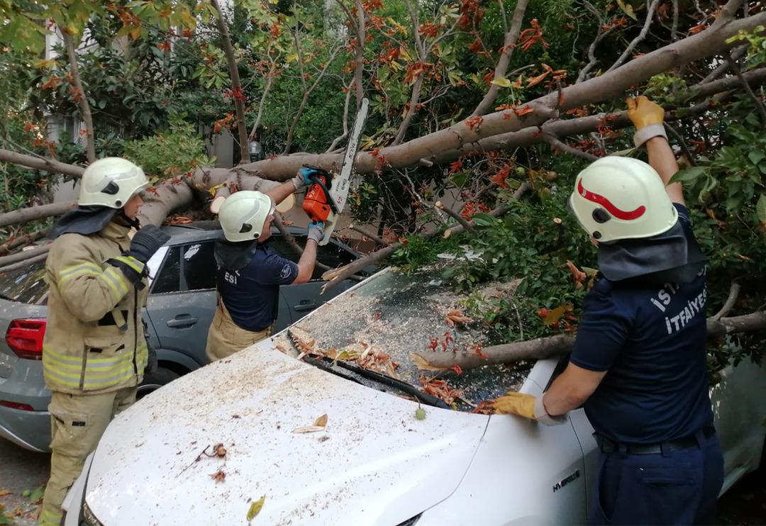 İstanbul'da bu sabah! Bah&ccedil;eye &ccedil;ıkan şaşkına d&ouml;nd&uuml;