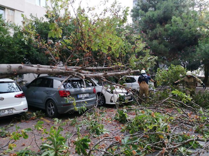 İstanbul'da bu sabah! Bahçeye çıkan şaşkına döndü G1