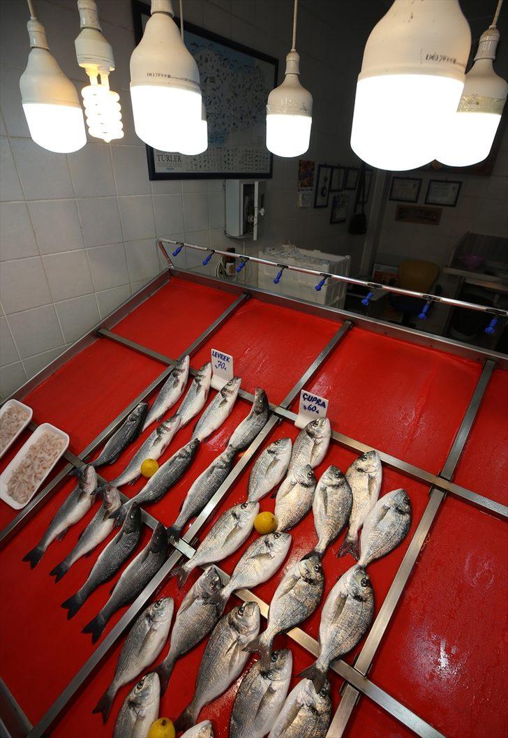 Marmara'daki balıkçılar yeni sezondan umutlu G1