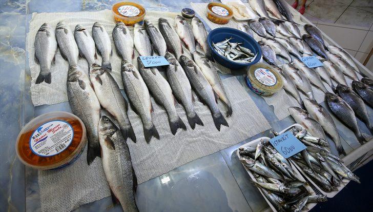 Marmara'daki balıkçılar yeni sezondan umutlu G2