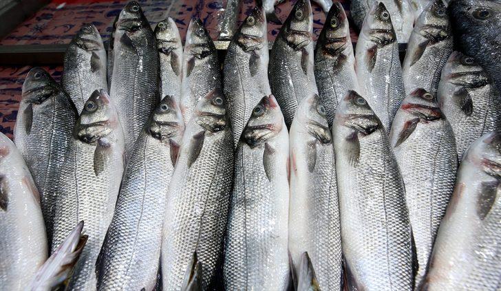 Marmara'daki balıkçılar yeni sezondan umutlu G4