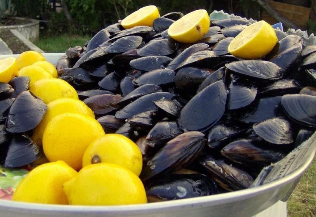 Midye, kalamar ve karides yemek haram mı? Diyanet a&ccedil;ıkladı! Karides haram mı, helal mi?