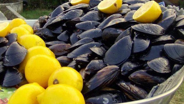 Midye, kalamar ve karides yemek haram mı? Diyanet açıkladı! Karides haram mı, helal mi?