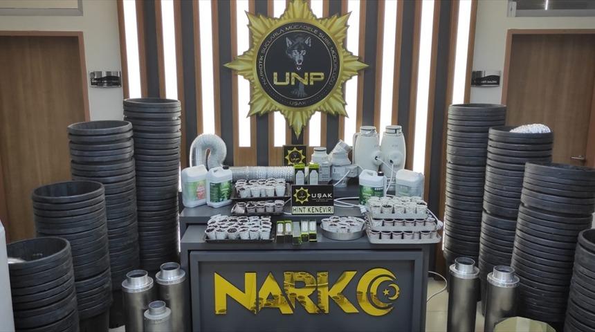 Uşak'ta bir evde saksılarda ekili 589 kök Hint keneviri ele geçirildi